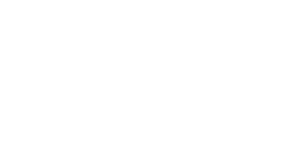 Fin.Tech Logo (White Logo) for dark backgrounds-01